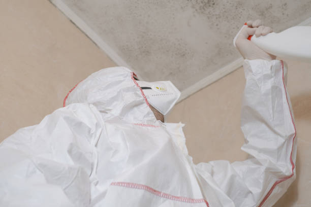 Best Asbestos and Lead Testing During Mold Inspection  in USA